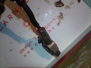 IMG-20130804-00001.jpg