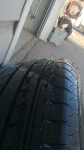 DSC_0350.jpg