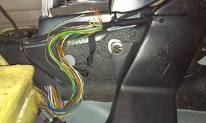 IMAG0446.jpg