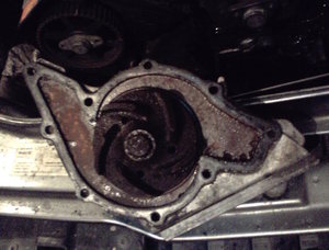Fоtо0299.jpg