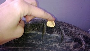 WP_20131104_006.jpg