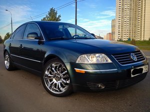 IMG_5233.jpg