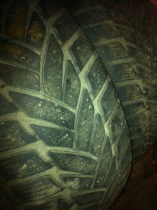 IMG_0359_новый размер.JPG