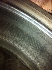 IMG_0361_новый размер.JPG