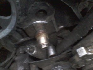 IMG_20131104_135118.jpg