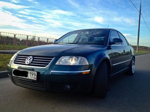 IMG_5234.jpg
