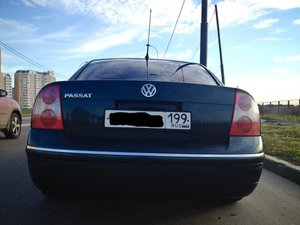 IMG_5236.jpg