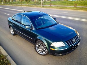IMG_5253.jpg