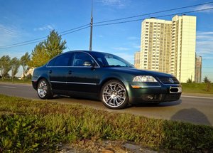 IMG_5279.jpg