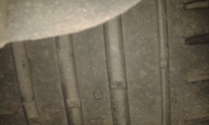 20131107_204311.jpg