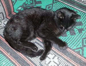 20131112_180710.jpg
