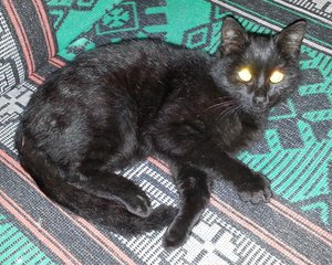 20131112_180717.jpg