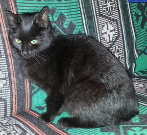 20131112_181346.jpg