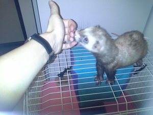 wunmeo6RVx0.jpg