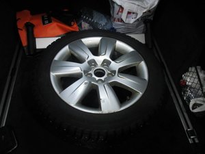 IMG_6934.jpg