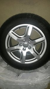 20131019_144755_resized.jpg