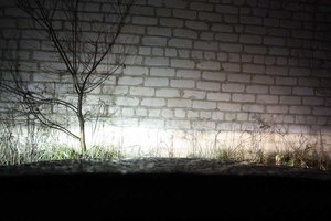 IMG_0362.jpg