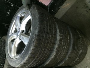 IMG_0456.jpg