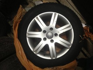 IMG_0368.jpg