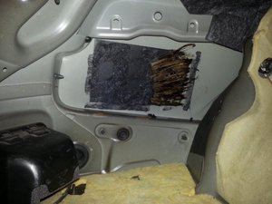 20130831_001641.jpg