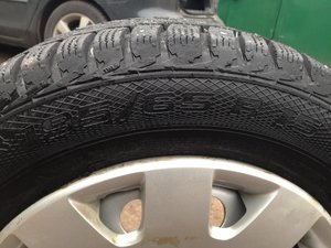 IMG_1377.jpg