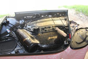 IMG_3084.jpg