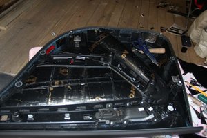 IMG_3151.jpg