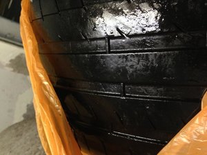 IMG_1904[1].jpg