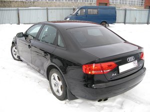 IMG_1003.jpg