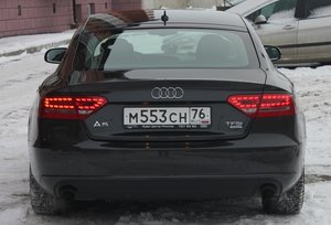 IMG_8379.jpg.JPG