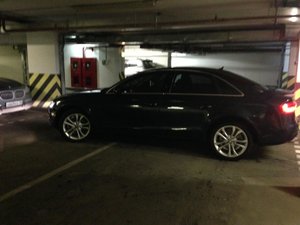 IMG_2004.jpg