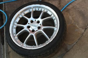 IMG_4460.jpg
