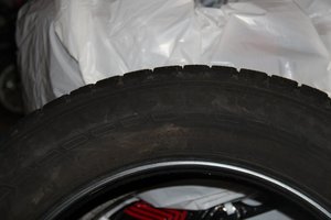IMG_4896.jpg