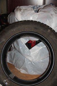 IMG_4901.jpg