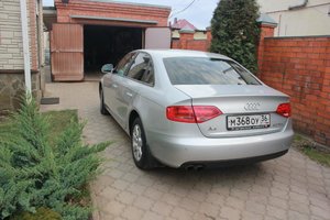 IMG_7394.jpg