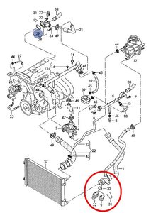 3dd14d5574c5.JPG