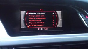 IMAG0555.jpg