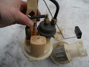 DSCN1031.jpg