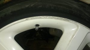 IMAG0507.jpg