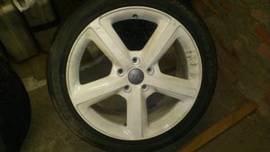 IMAG0509.jpg