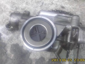 IMG00089.jpg