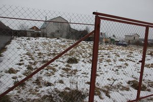 IMG_2929.jpg