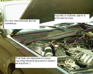 1.JPG