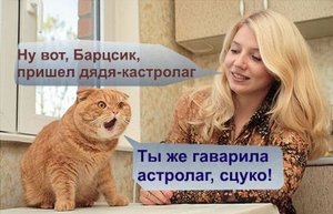 b_h16779.jpg