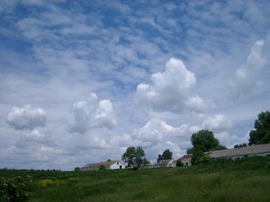 IMGP1739.jpg
