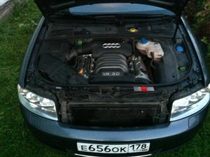 IMG_0179.jpg