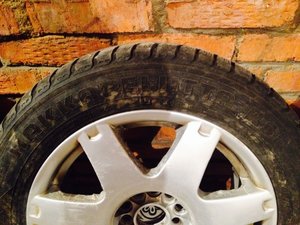 IMG_5279.JPG