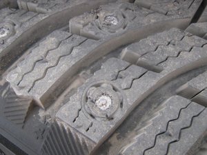 IMG_8525.jpg