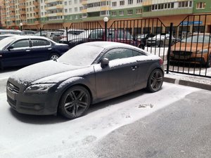 IMG_1344.jpg