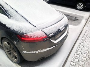 IMG_1345.jpg